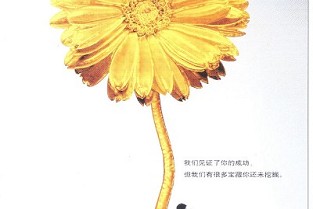 如何贷款购房 外滩租房